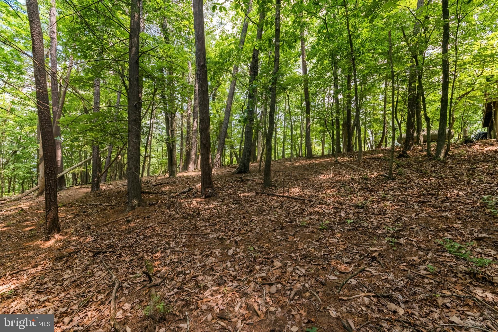 85 Valley View Road Basye, VA 22842 - Photo 5 of 54