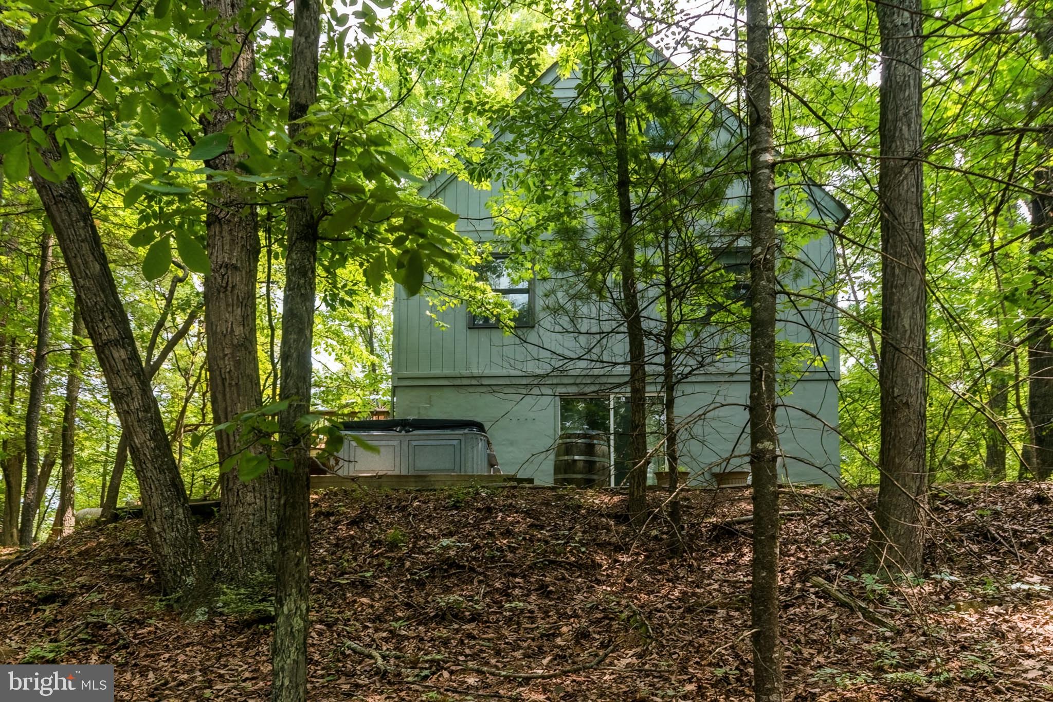 85 Valley View Road Basye, VA 22842 - Photo 51 of 54