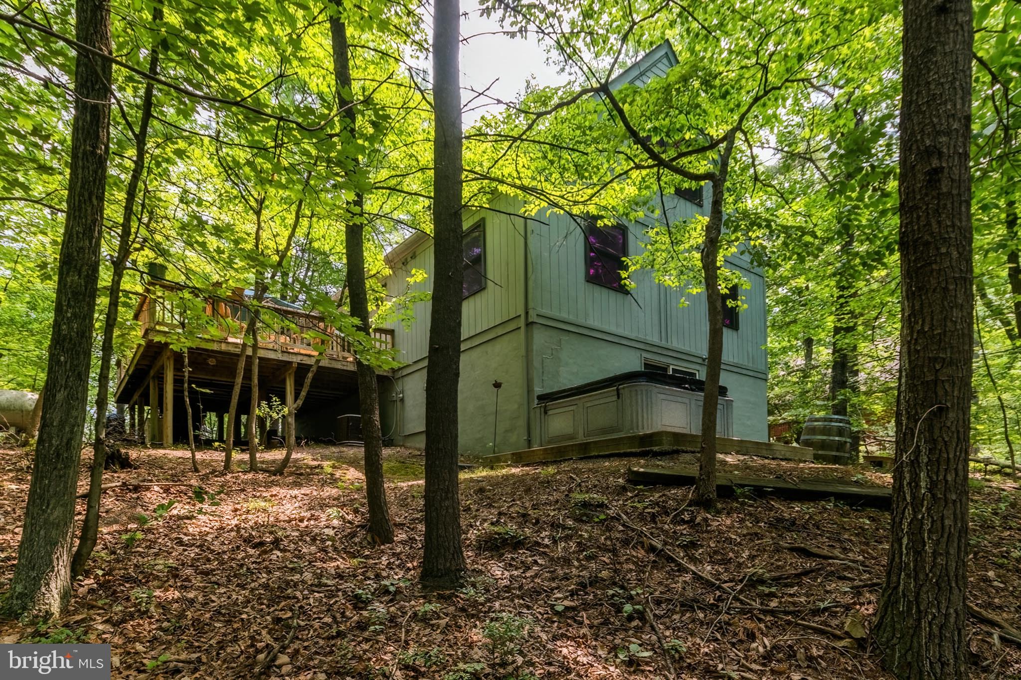 85 Valley View Road Basye, VA 22842 - Photo 52 of 54