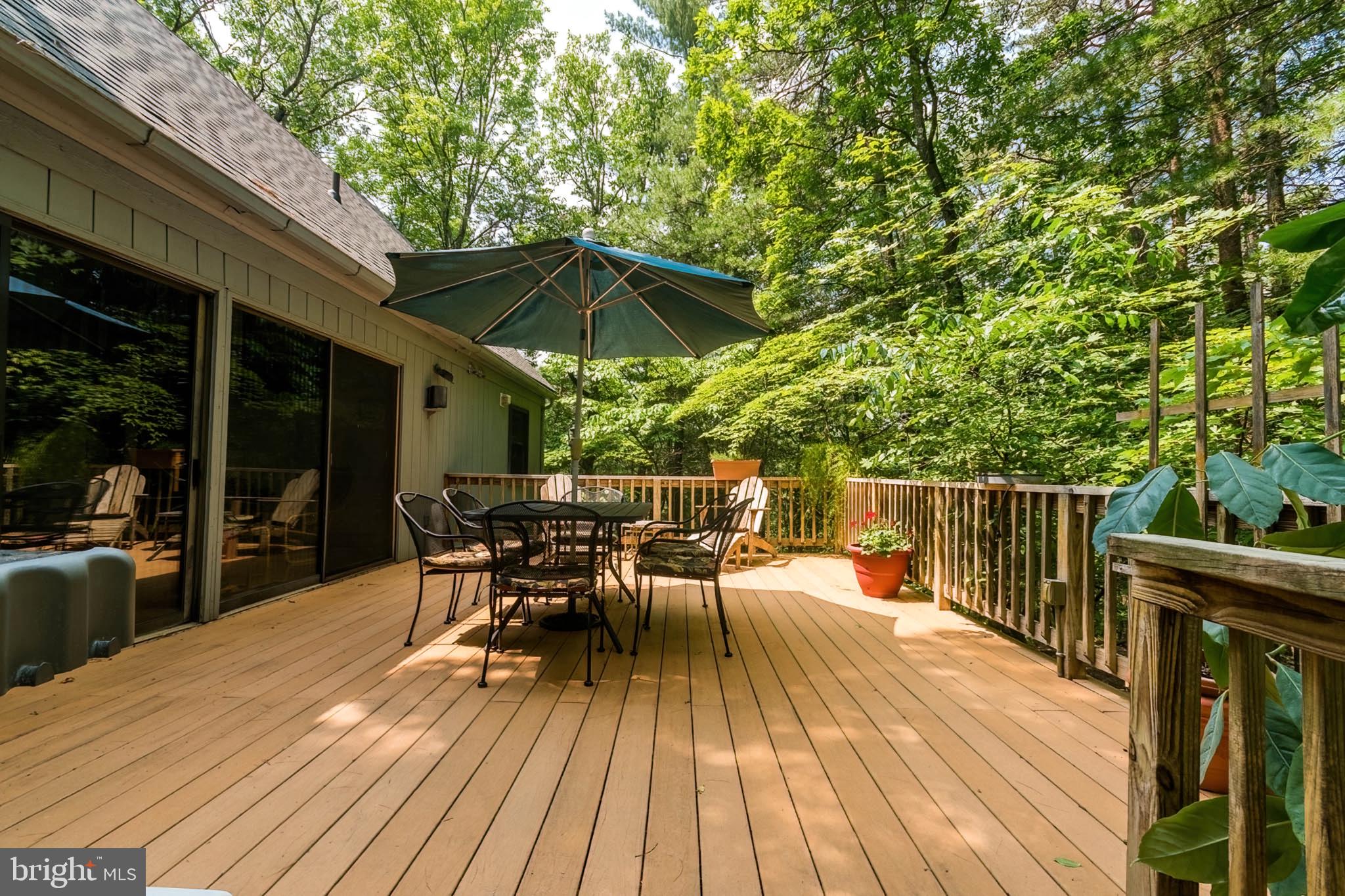 85 Valley View Road Basye, VA 22842 - Photo 7 of 54