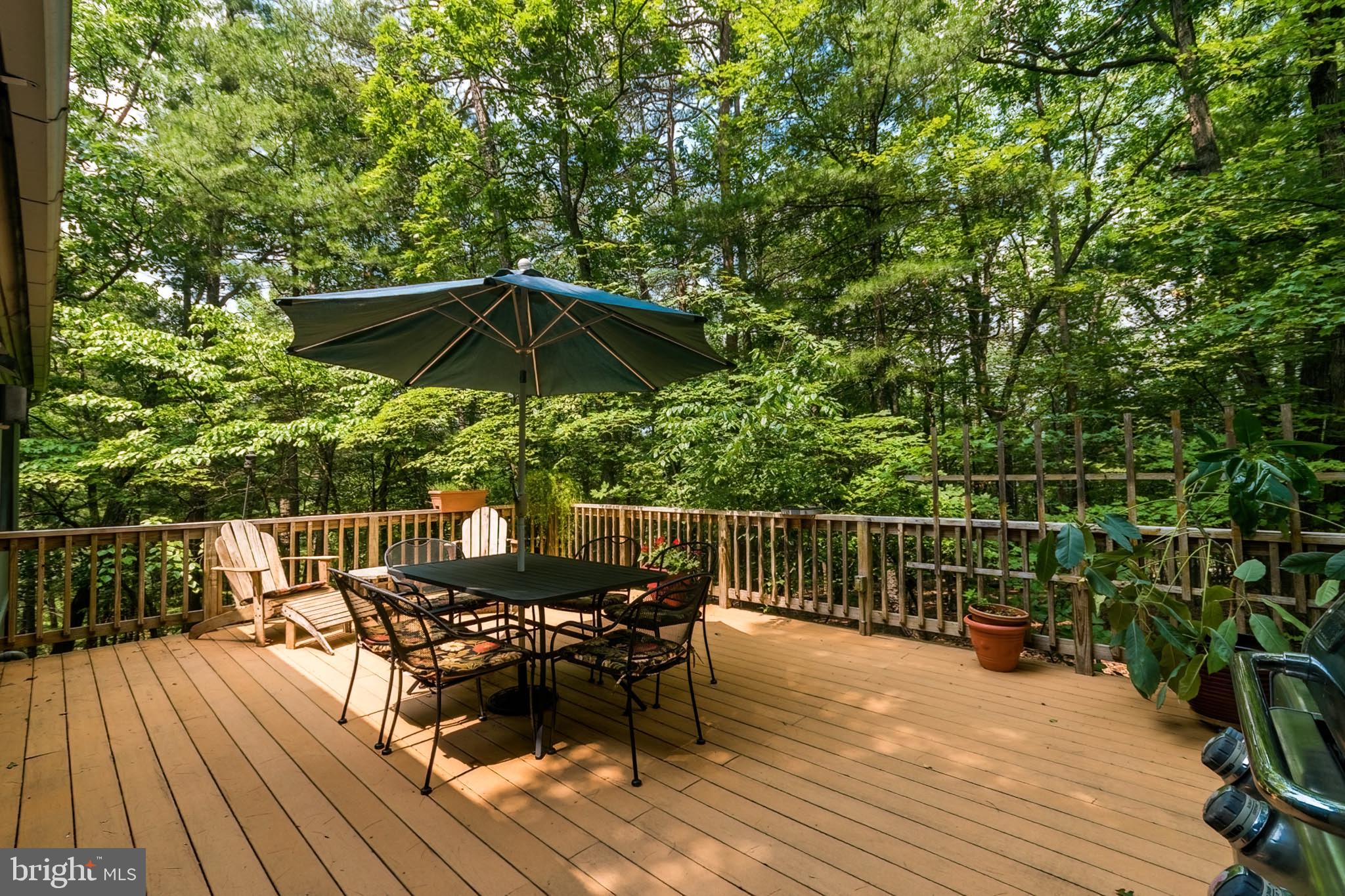 85 Valley View Road Basye, VA 22842 - Photo 9 of 54