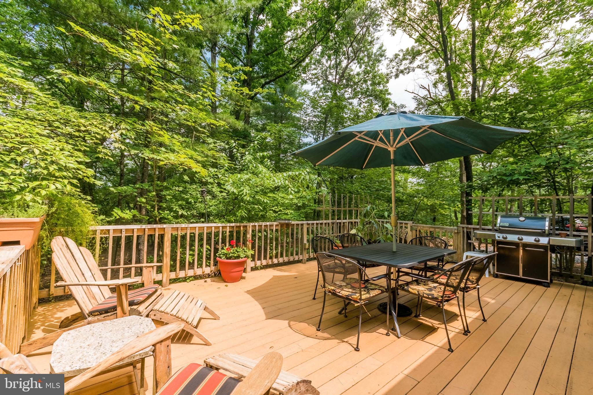 85 Valley View Road Basye, VA 22842 - Photo 10 of 54