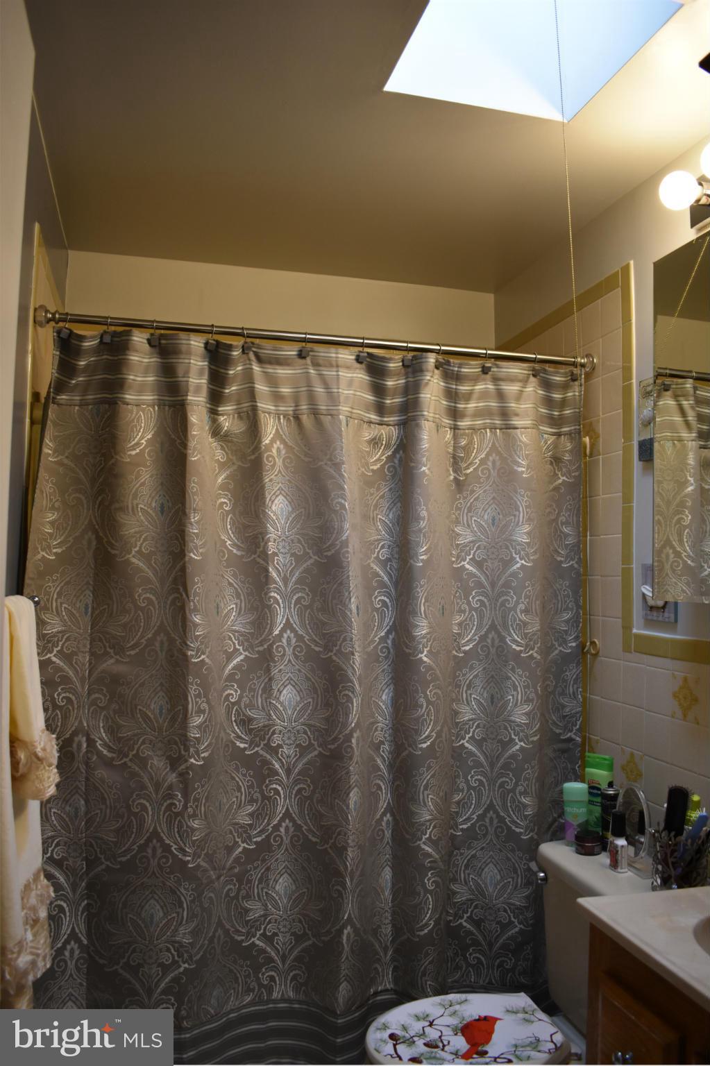 1617 Manor Road Baltimore, MD 21222 - Photo 18 of 28 Bath w/sky light