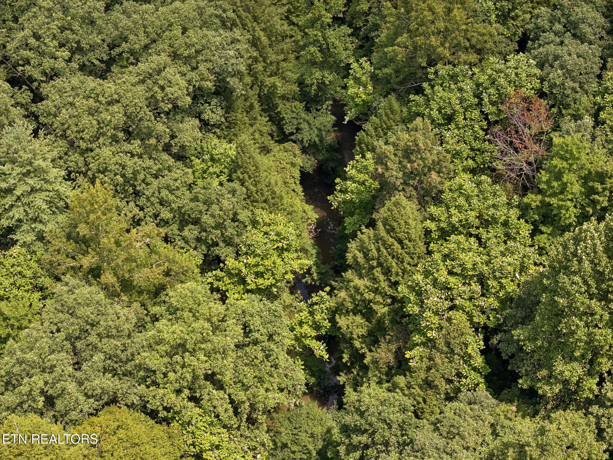Sheep Ranch Road, Unit TRACT 7 Robbins, TN 37852 - Photo 28 of 35 35-1 Sheep Ranch Rd Lot 7 - 035