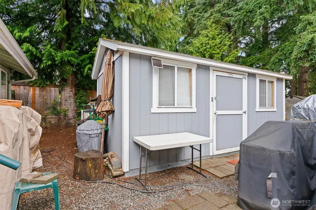 a street view with tall trees