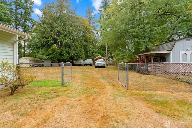 a view of a park with large trees