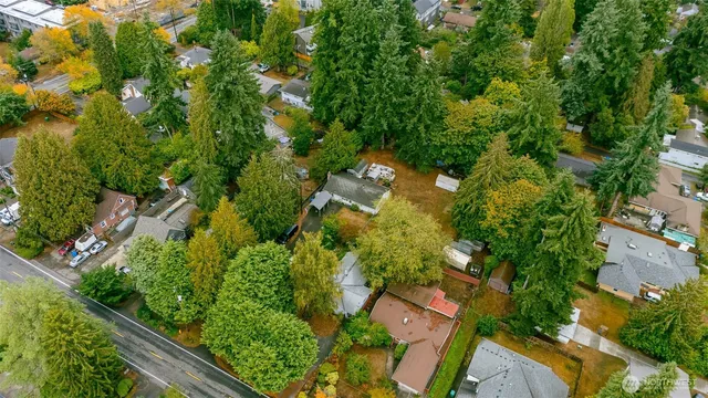 a backyard of a house with large trees and plants