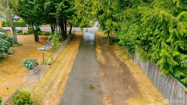 a view of a green field with lots of bushes