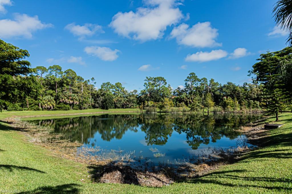 7761 Bucks Run Drive Naples, FL 34120 - Photo 48 of 50 a view of a lake with houses in the back
