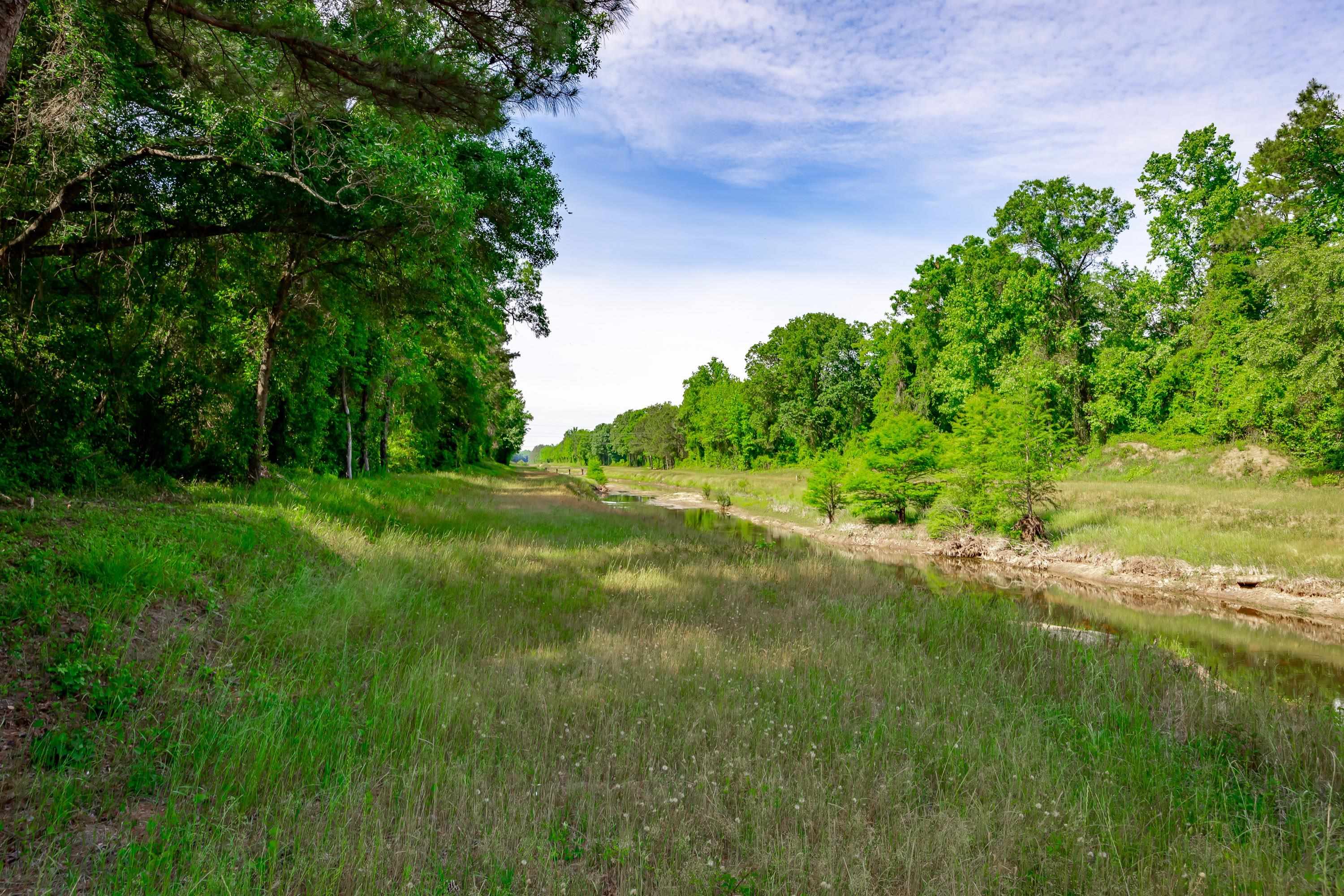 0 Sand Plant Road Nichols, SC 29581 - Photo 11 of 29