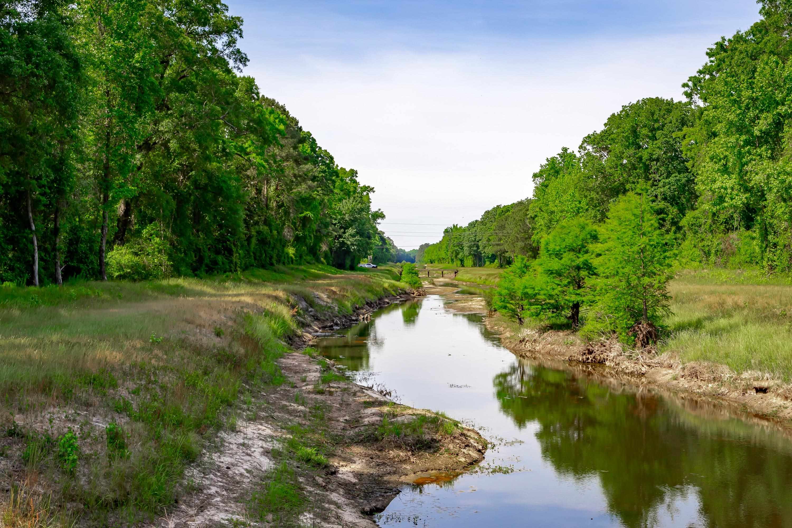 0 Sand Plant Road Nichols, SC 29581 - Photo 12 of 29