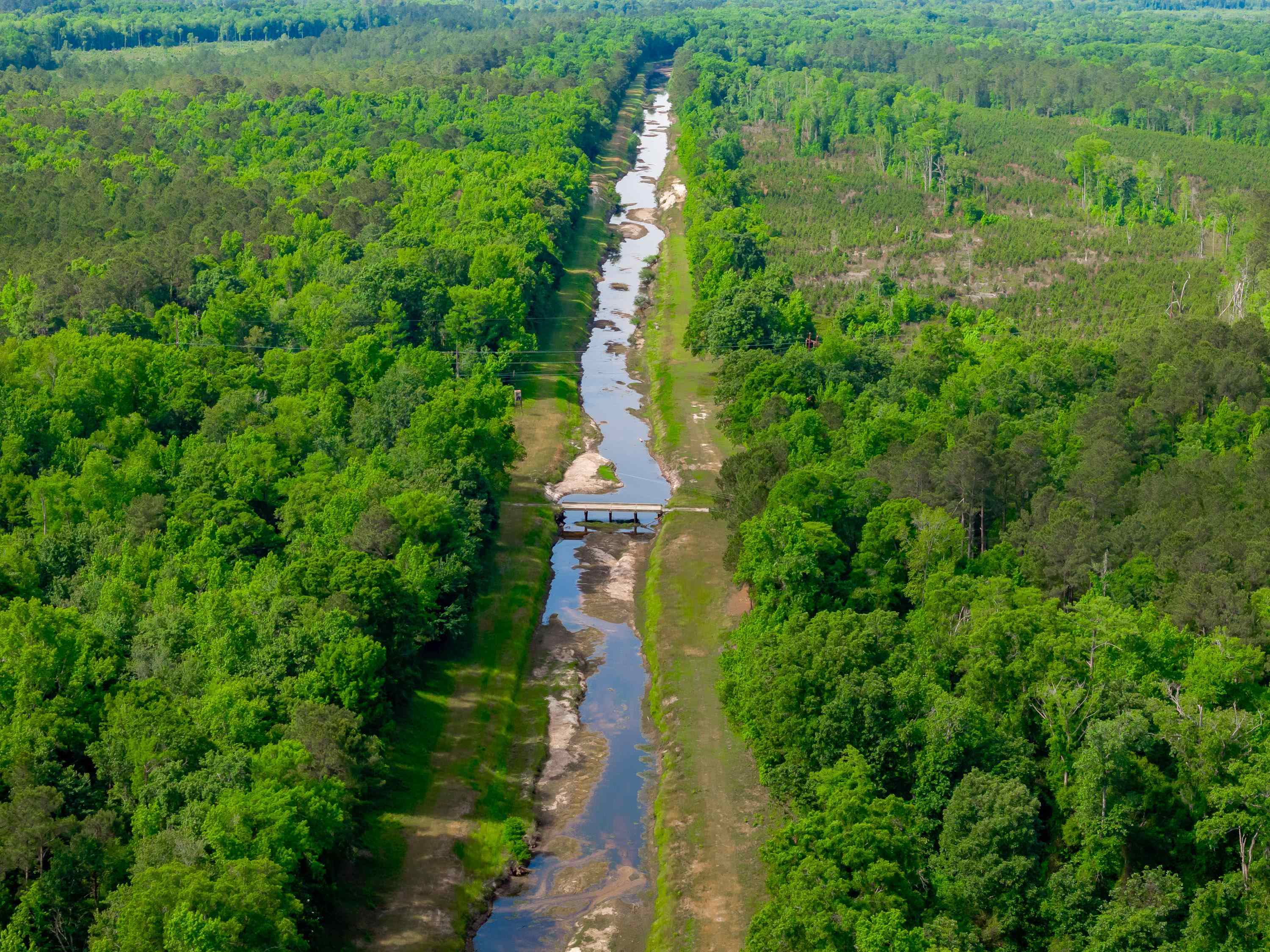 0 Sand Plant Road Nichols, SC 29581 - Photo 19 of 29