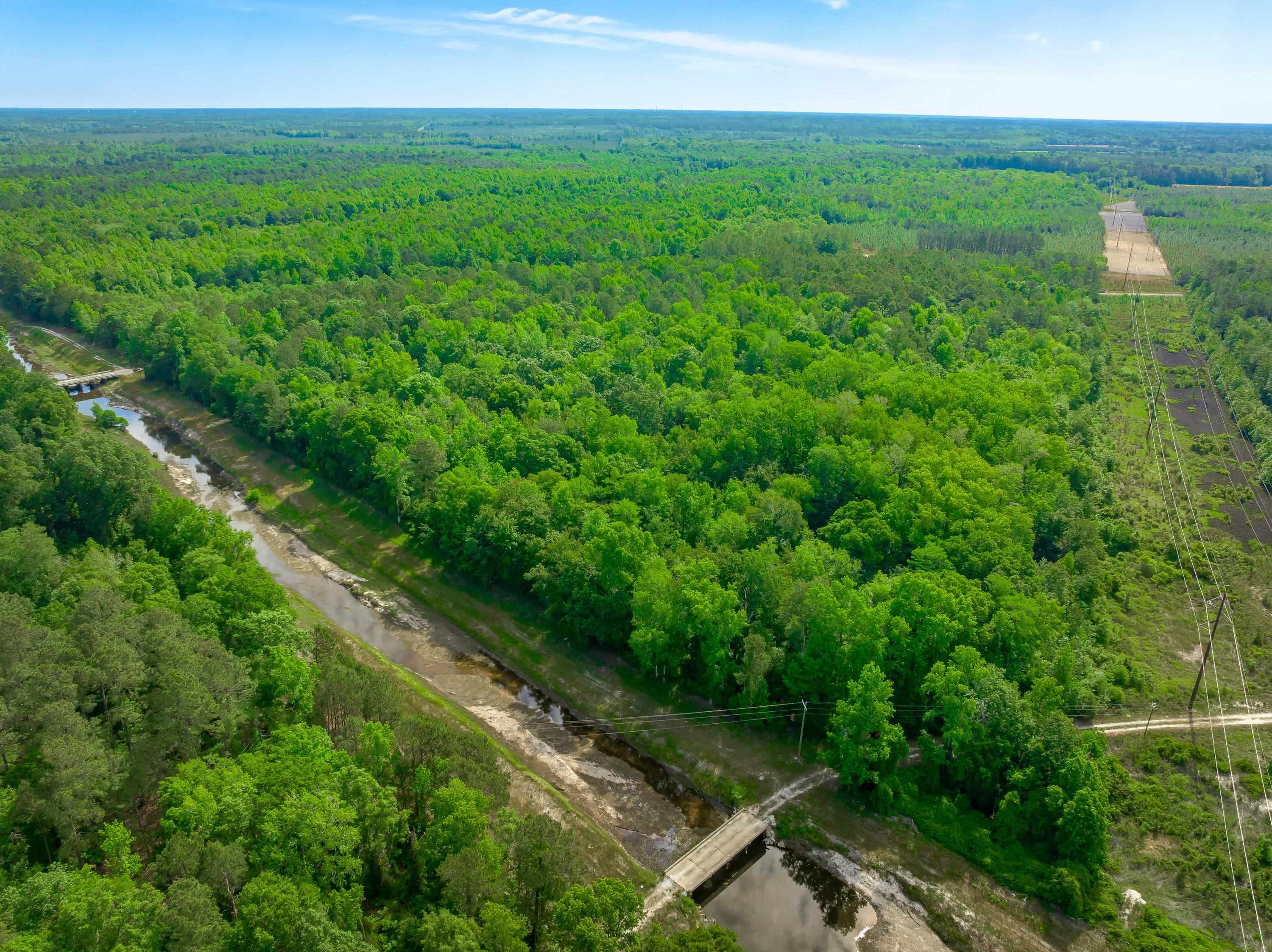 0 Sand Plant Road Nichols, SC 29581 - Photo 20 of 29