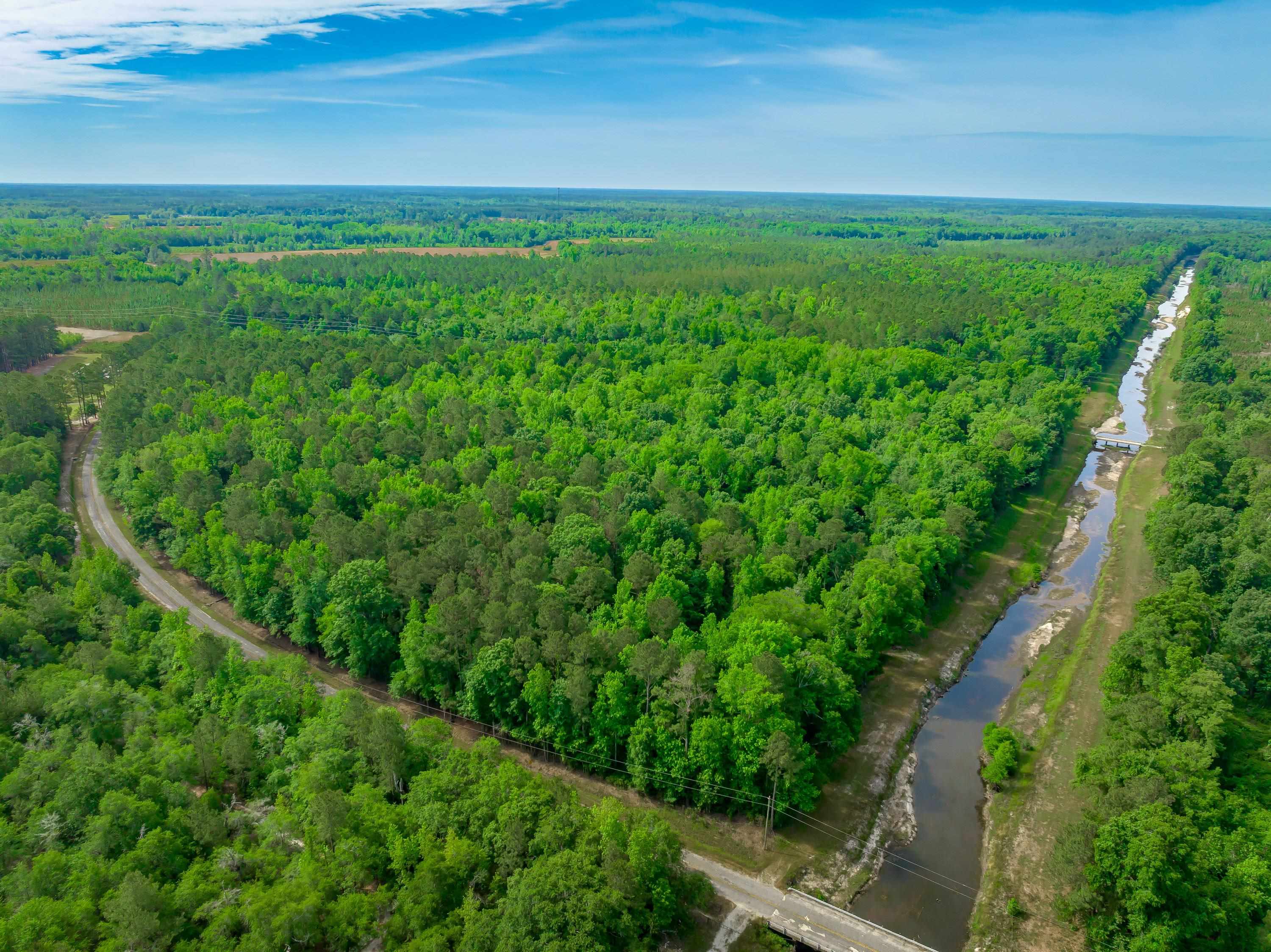 0 Sand Plant Road Nichols, SC 29581 - Photo 2 of 29