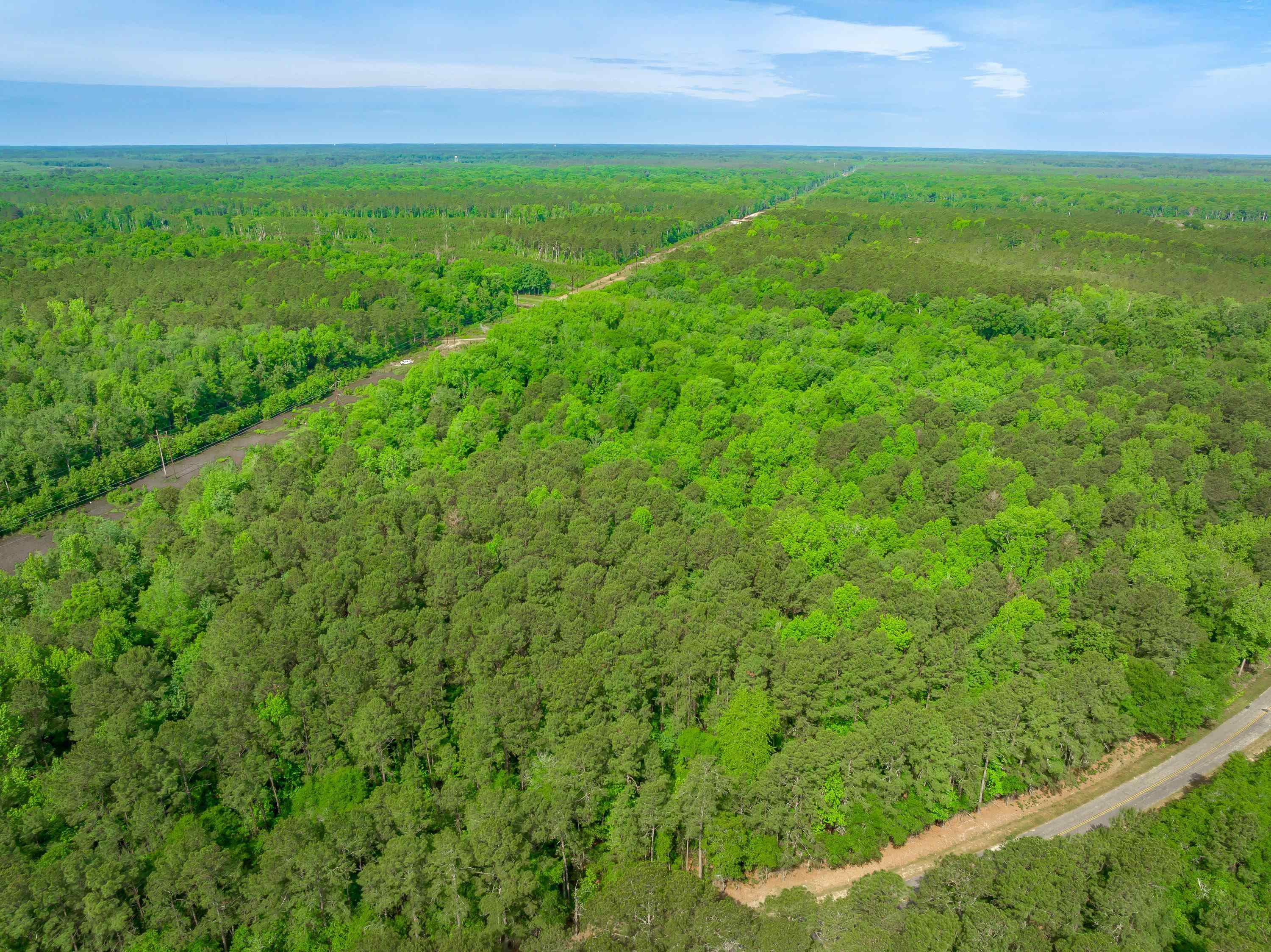 0 Sand Plant Road Nichols, SC 29581 - Photo 21 of 29