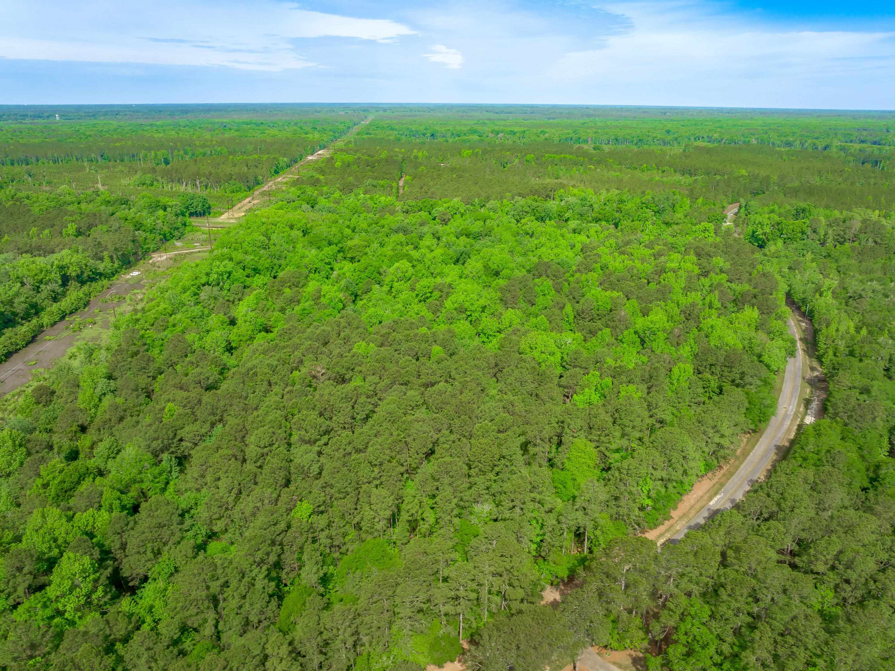 0 Sand Plant Road Nichols, SC 29581 - Photo 22 of 29