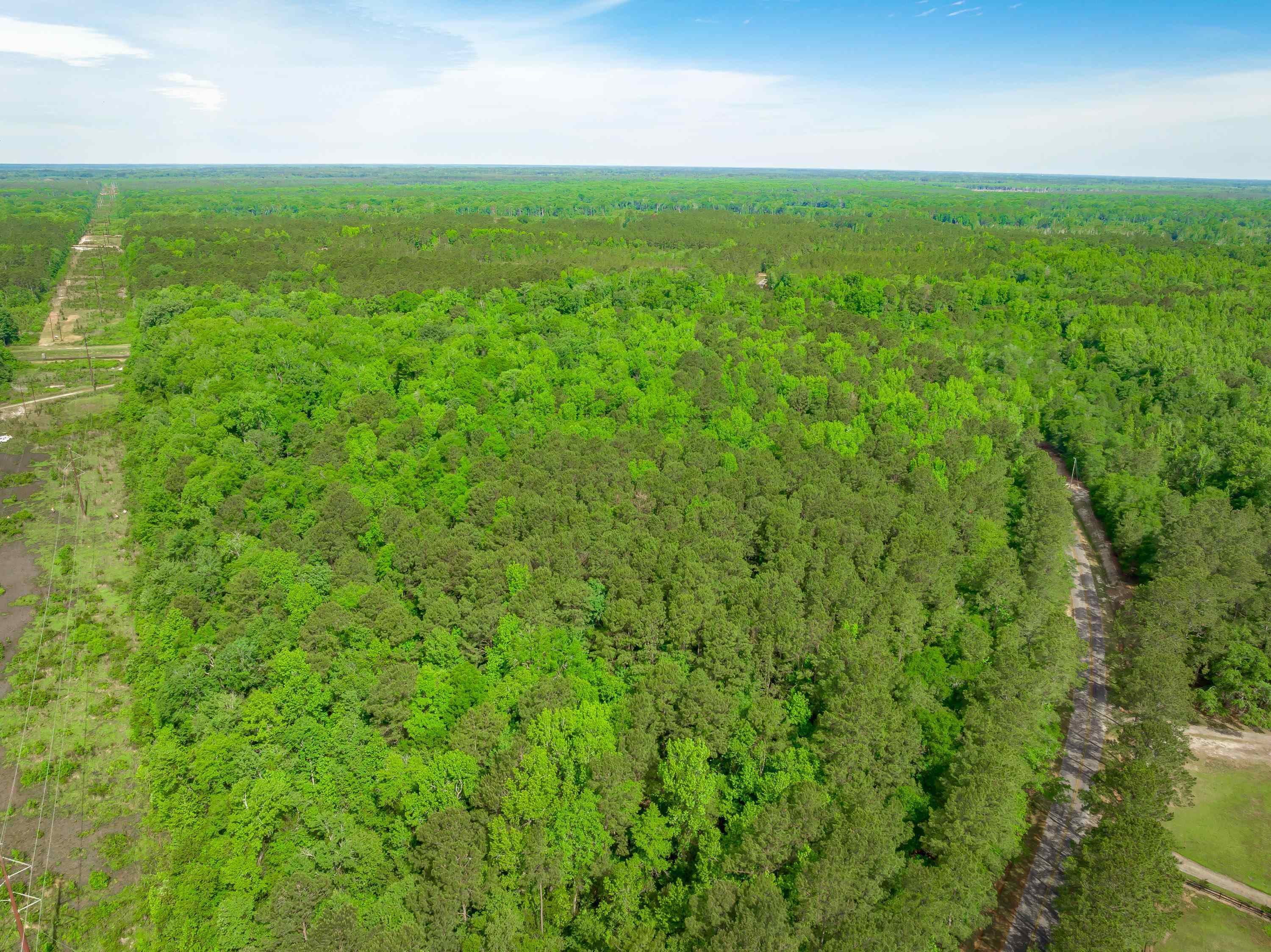 0 Sand Plant Road Nichols, SC 29581 - Photo 23 of 29