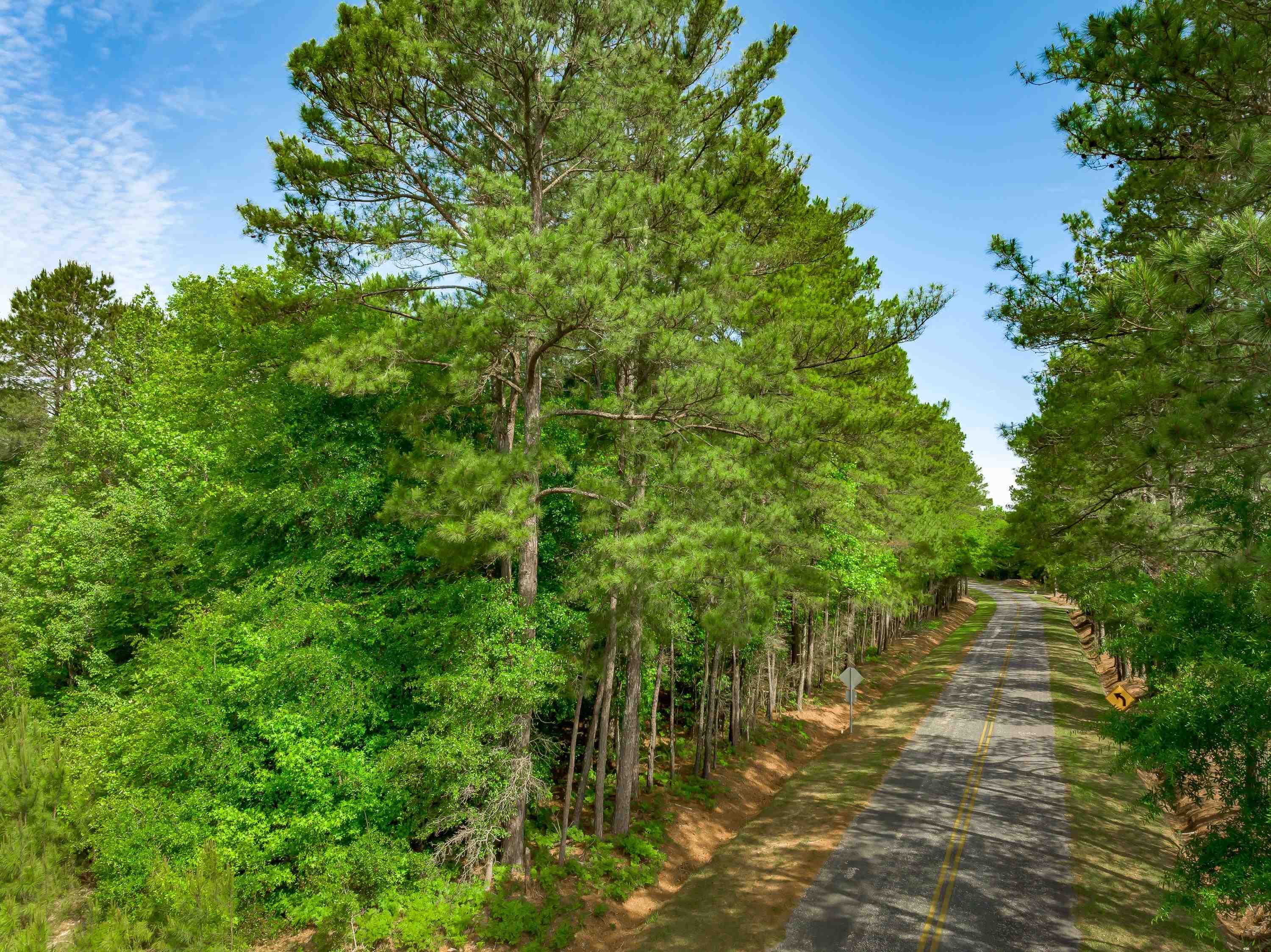 0 Sand Plant Road Nichols, SC 29581 - Photo 24 of 29