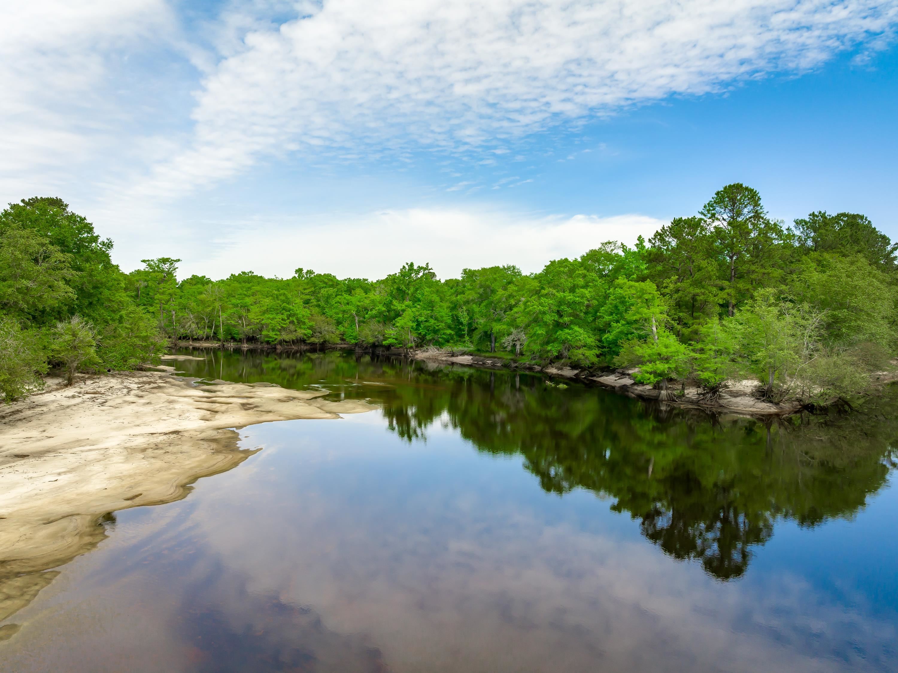 0 Sand Plant Road Nichols, SC 29581 - Photo 26 of 29