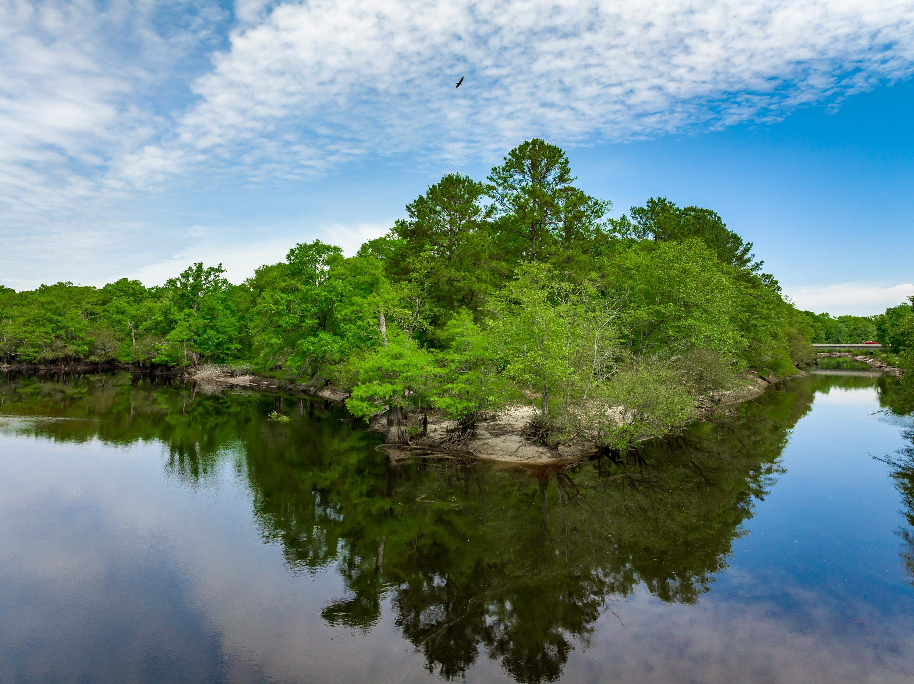 0 Sand Plant Road Nichols, SC 29581 - Photo 29 of 29
