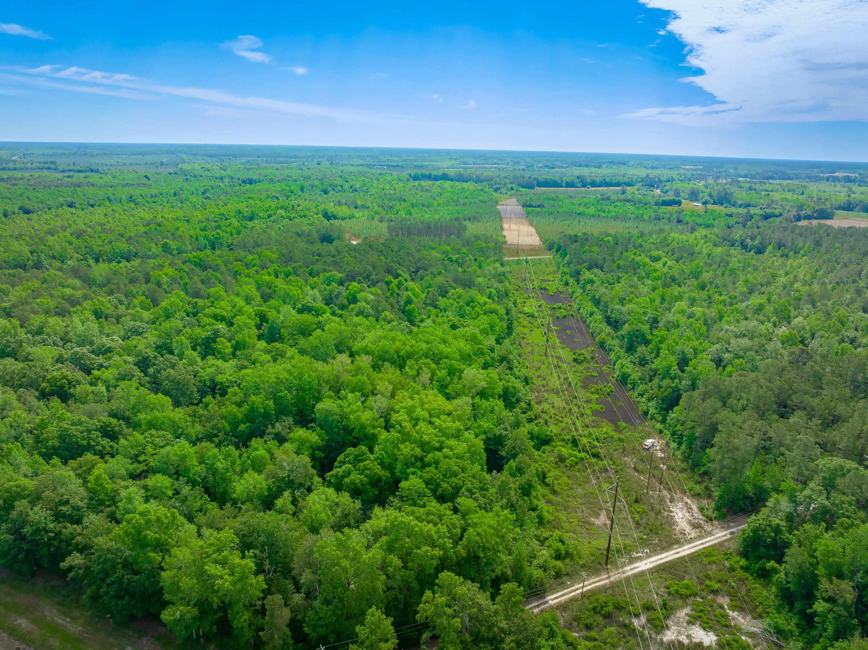 0 Sand Plant Road Nichols, SC 29581 - Photo 3 of 29