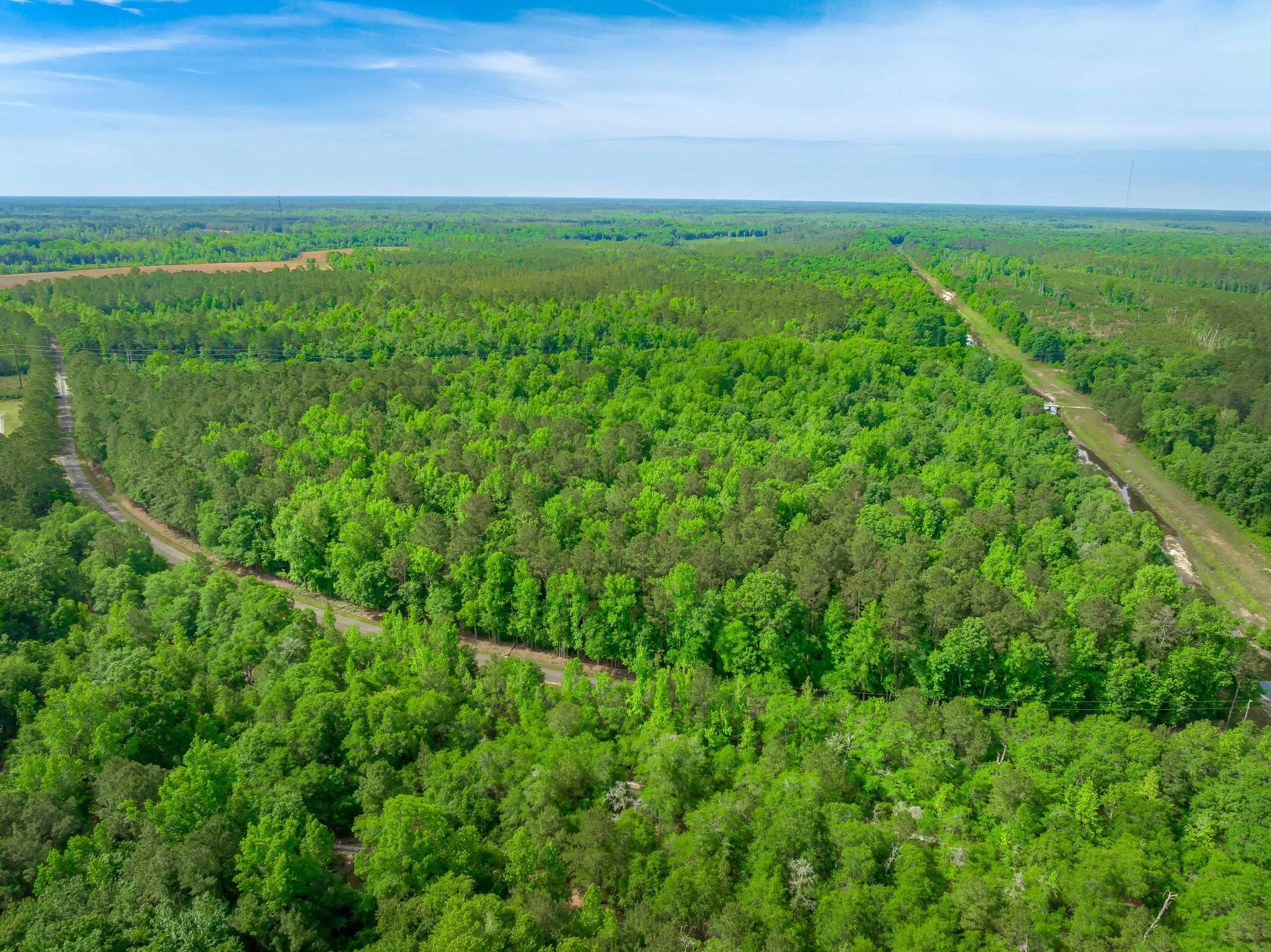 0 Sand Plant Road Nichols, SC 29581 - Photo 5 of 29