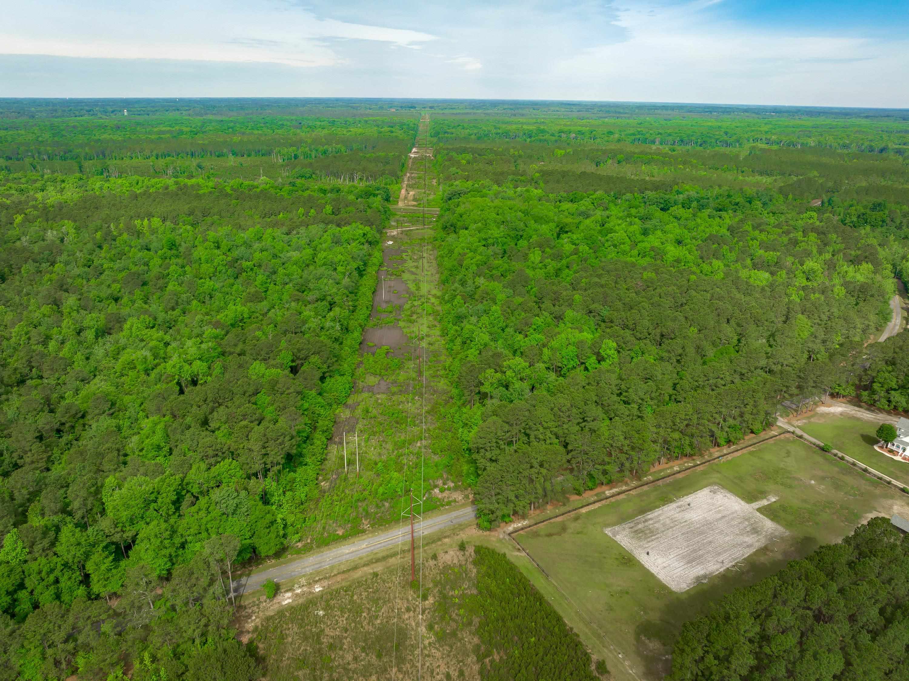 0 Sand Plant Road Nichols, SC 29581 - Photo 6 of 29