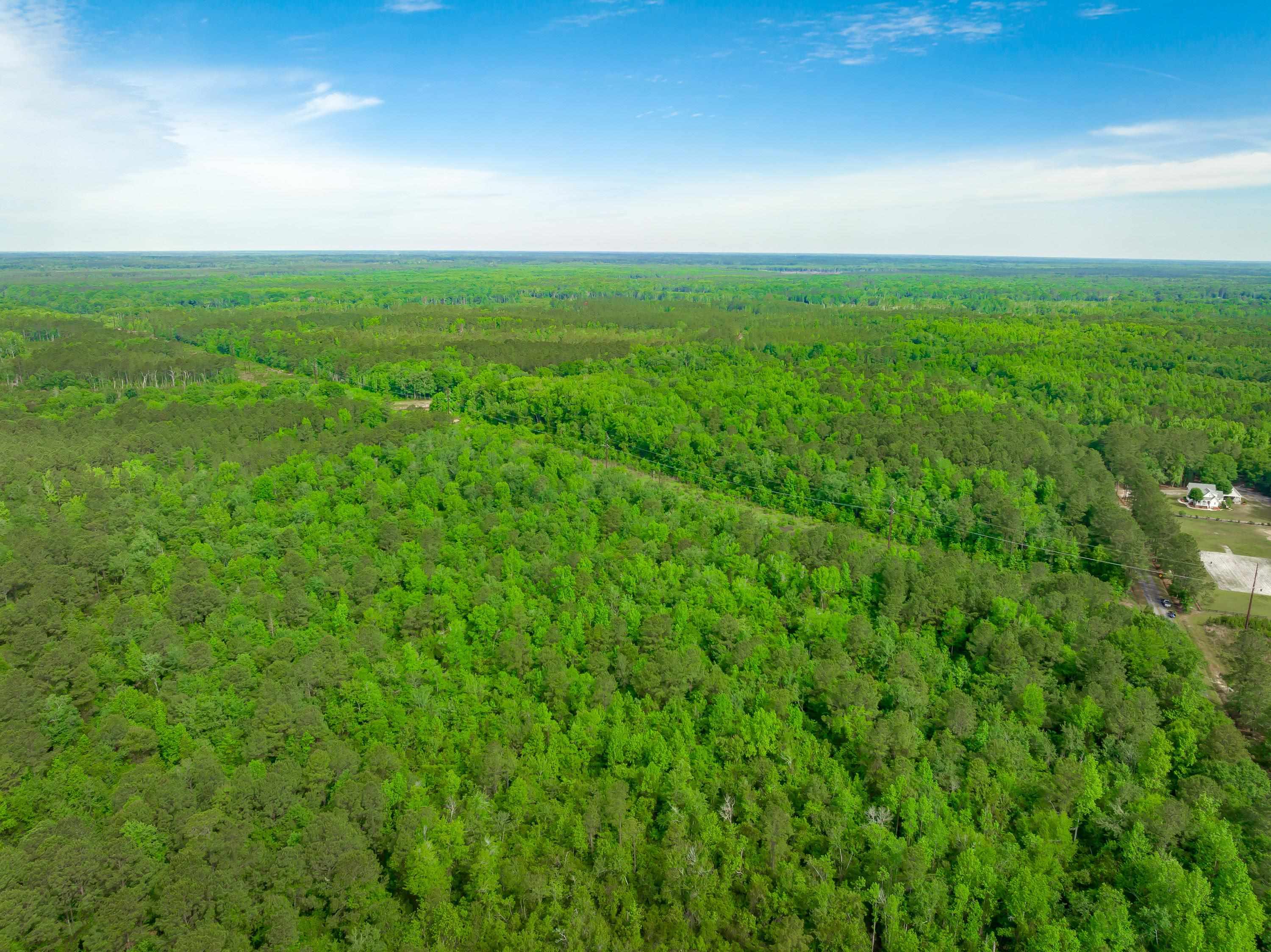 0 Sand Plant Road Nichols, SC 29581 - Photo 8 of 29