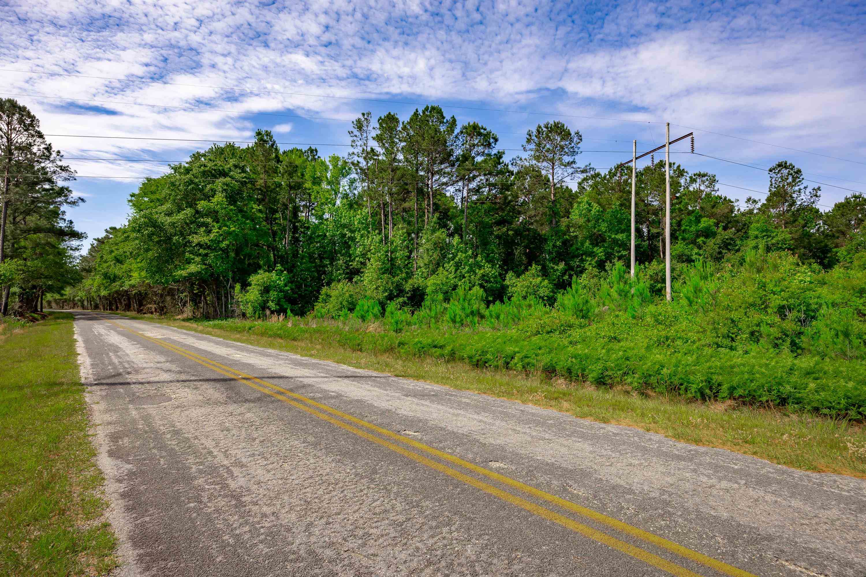 0 Sand Plant Road Nichols, SC 29581 - Photo 10 of 29