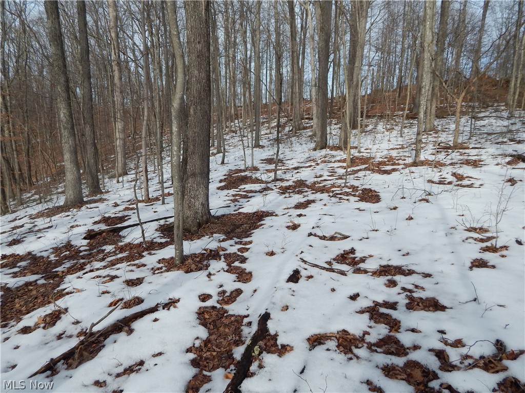 Fingerboard Road Big Springs, WV 26137 - Photo 11 of 21