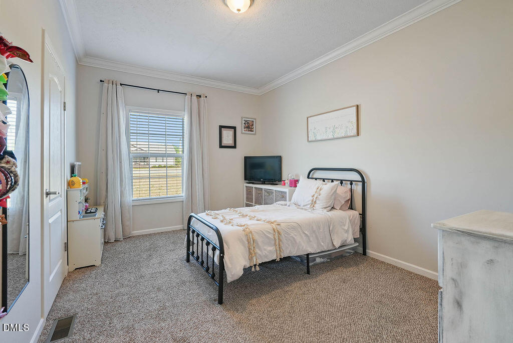 361 Camelia Road Benson, NC 27504 - Photo 22 of 41