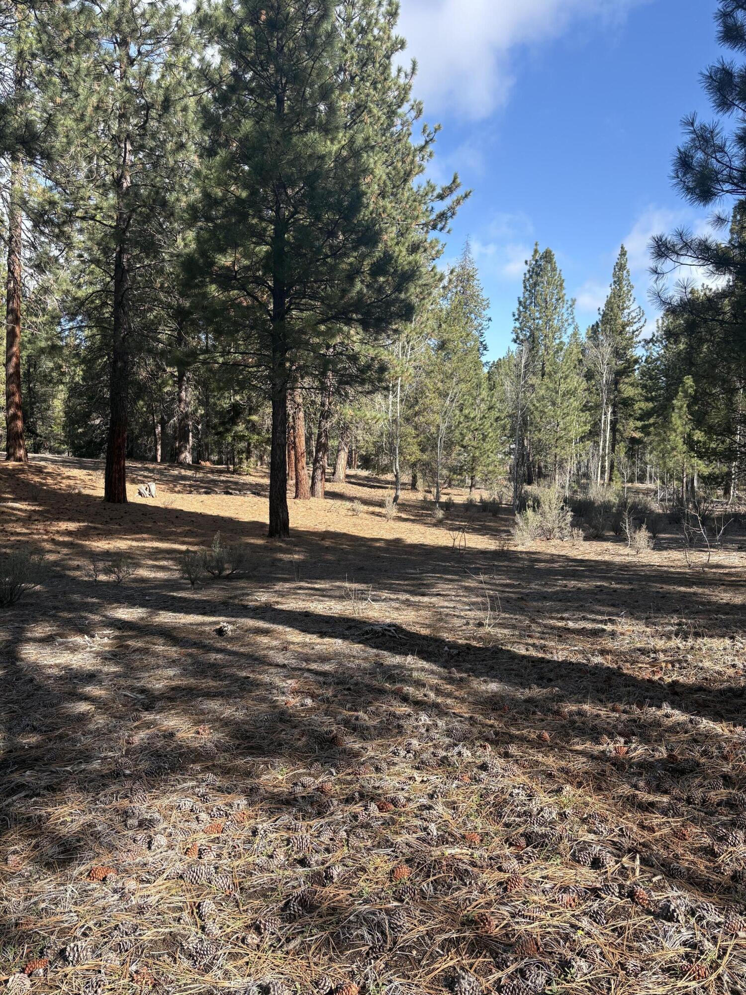 0 Pine Ridge Loop, Unit LOT 5 Chiloquin, OR 97624 - Photo 6 of 8 Lot