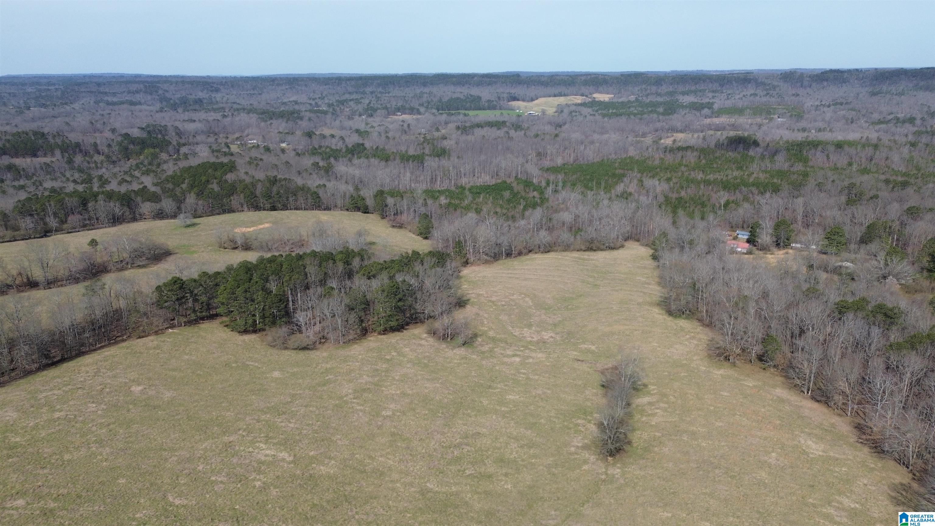 1404 Burton Loop Road, Unit 1404 Altoona, AL 35952 - Photo 6 of 7