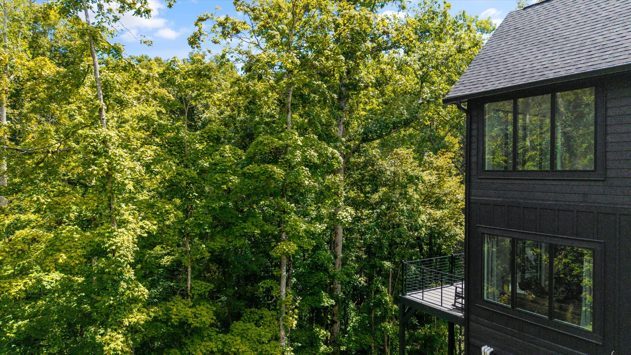 1134 Reedmont Way Sevierville, TN 37876 - Photo 38 of 42 a view of a backyard