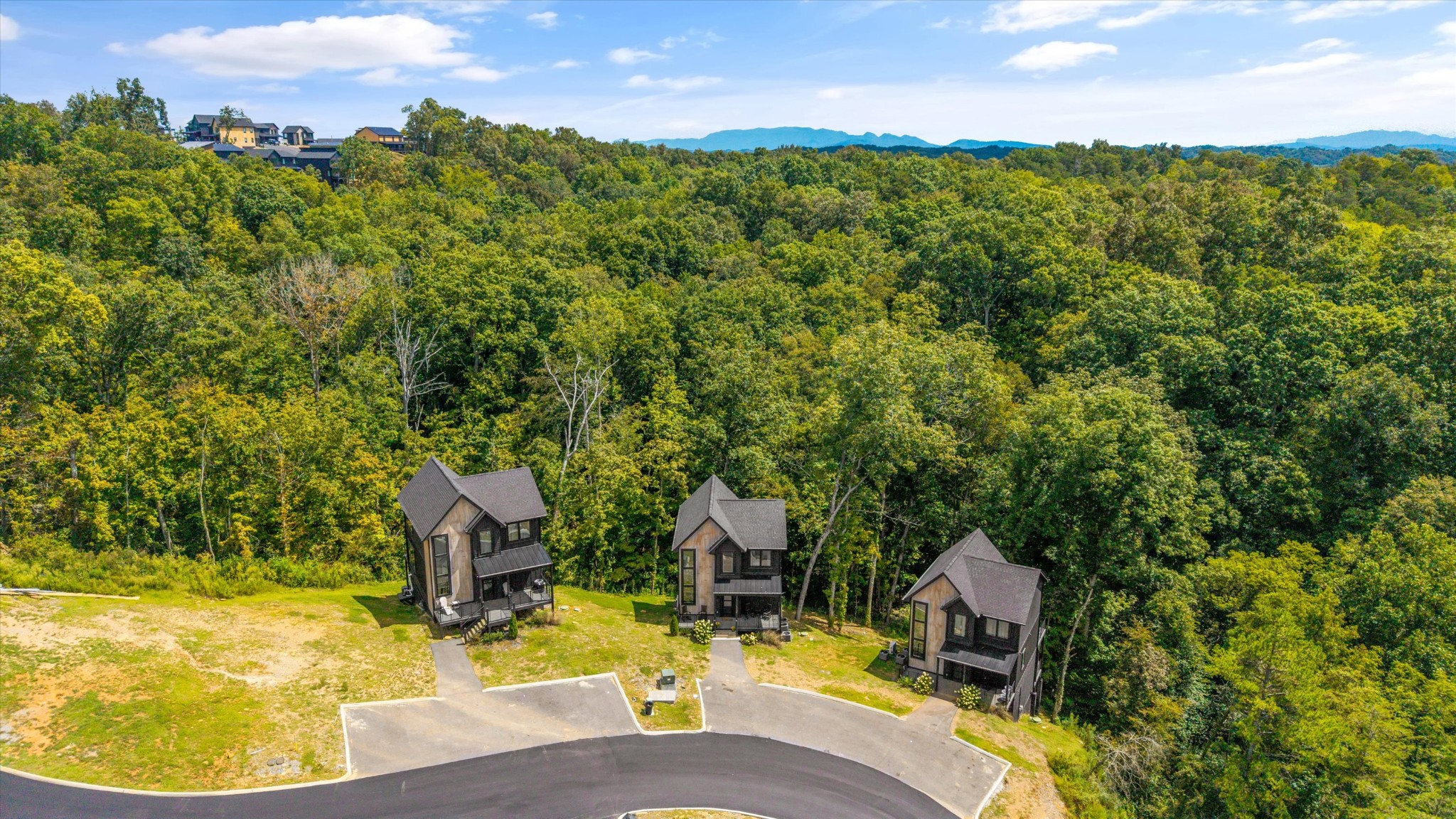 1134 Reedmont Way Sevierville, TN 37876 - Photo 40 of 42 view of a swimming pool with a patio