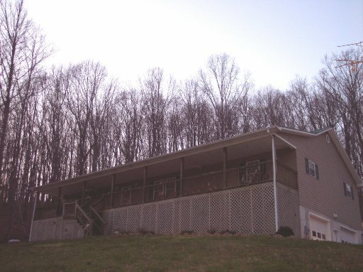 Primary Photo