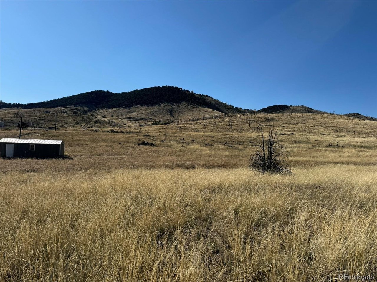 48 Copper Gulch Road Cotopaxi, CO 81223 - Photo 2 of 43