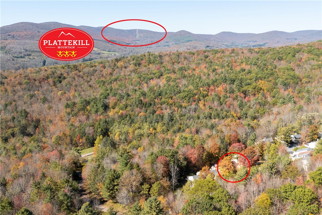 340 Pines Drive, Unit 453 Roxbury, NY 12421 - Photo 41 of 48