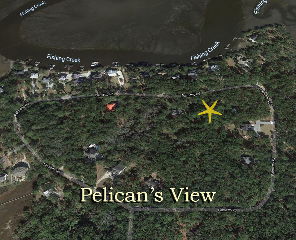 8927 Palmetto Road Edisto Island, SC 29438 - Photo 1 of 8 1