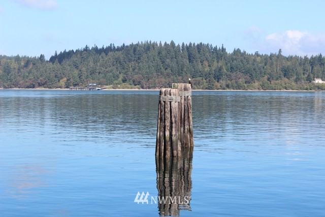 14507 Outer Bay Road, Unit AI Anderson Island, WA 98303 - Photo 16 of 16