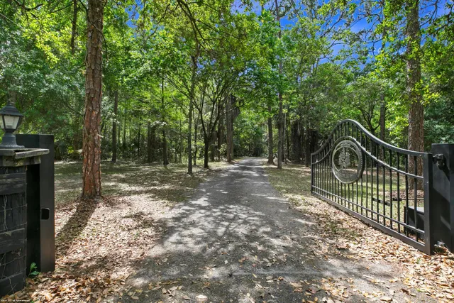a view of a pathway with a small yard