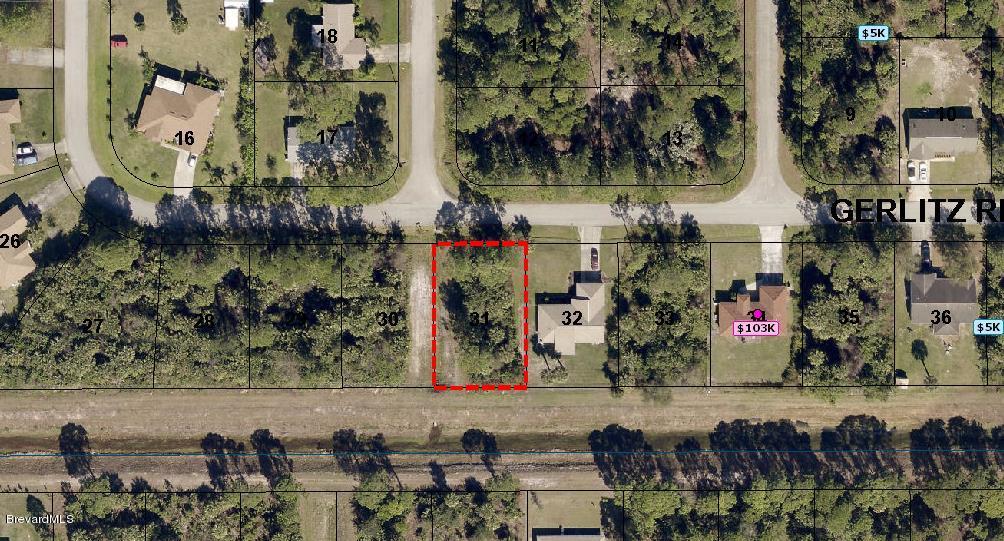 858 Gerlitz Road Southwest Palm Bay, FL 32908 - Photo 3 of 5 54453785_BrevardCounty