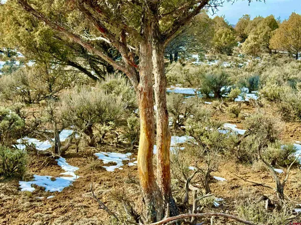 $169,500 | Lot 13 South Rockcliff Circle, Pagosa Springs, CO 81147