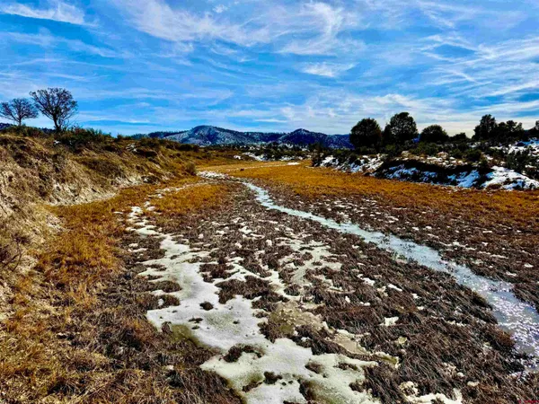 a view of a ocean with beach