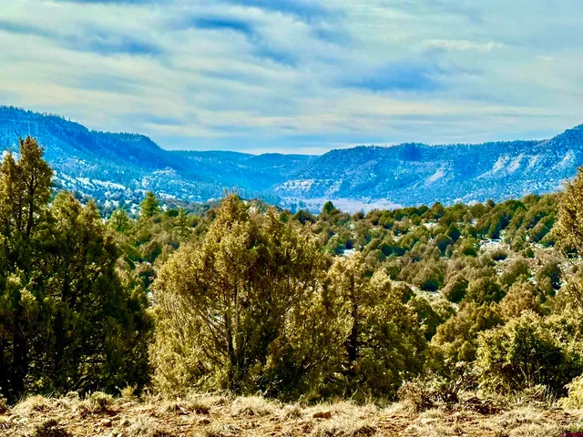 $169,500 | Lot 13 South Rockcliff Circle, Pagosa Springs, CO 81147
