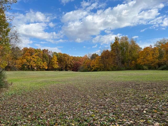South Norris Road Delton, MI 49046 - Photo 1 of 19 image5