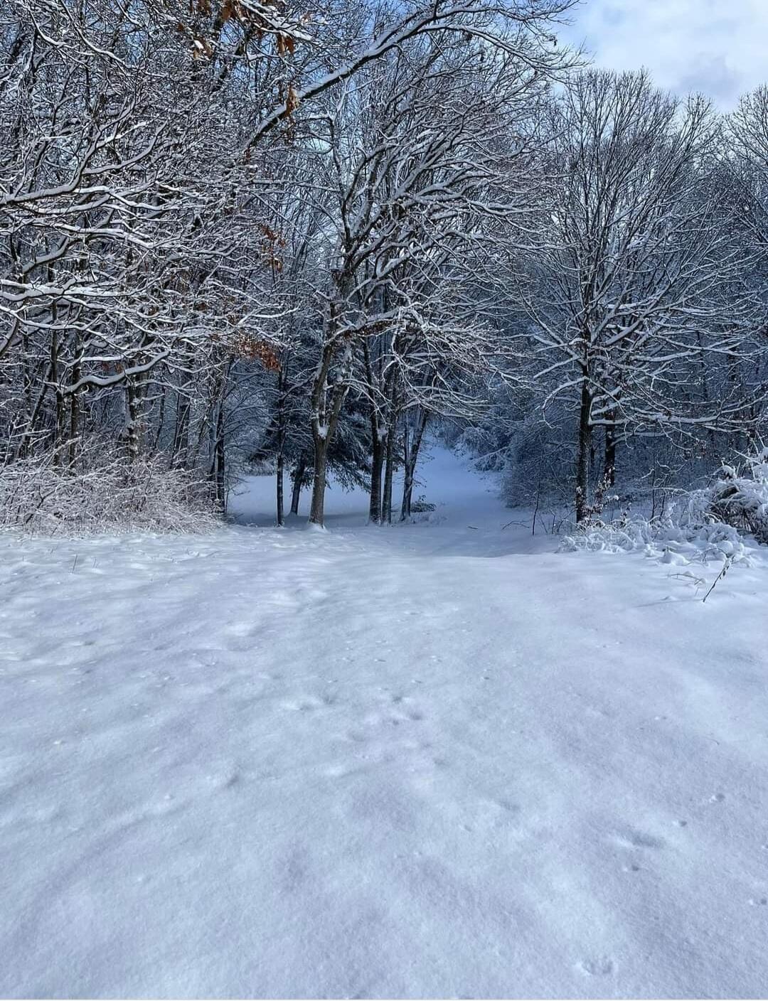 South Norris Road Delton, MI 49046 - Photo 11 of 19 Screenshot_20240114-194516_Facebook