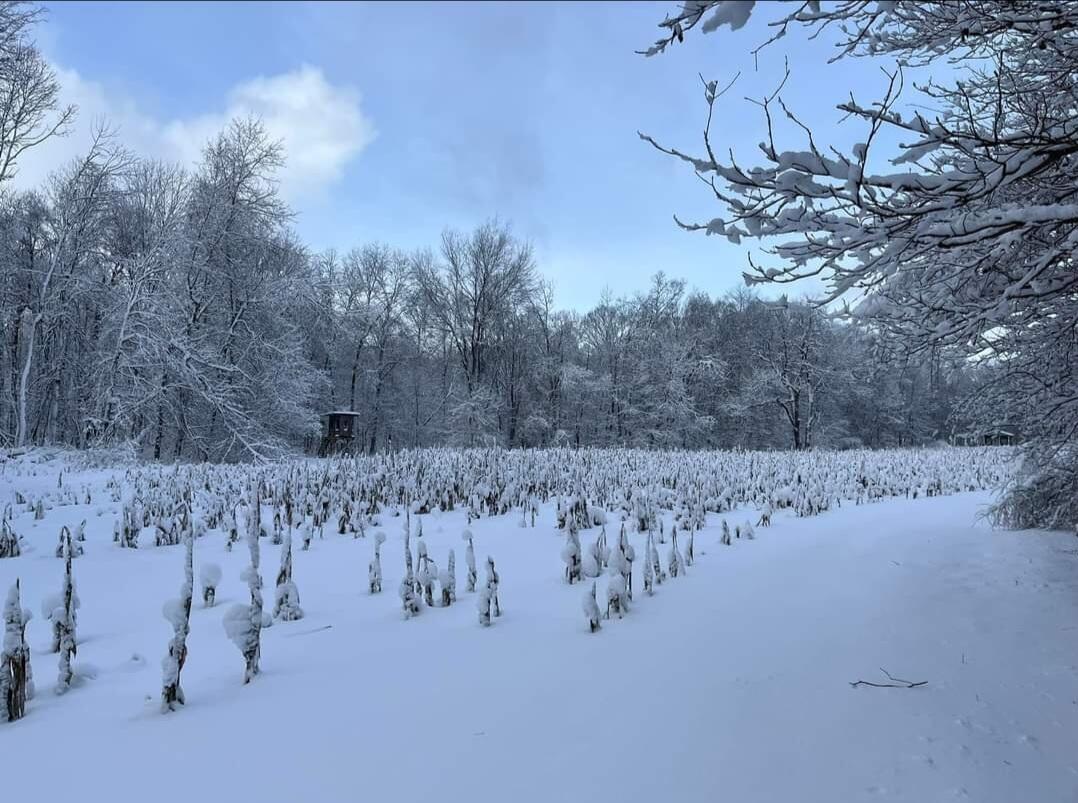 South Norris Road Delton, MI 49046 - Photo 12 of 19 Screenshot_20240114-194509_Facebook