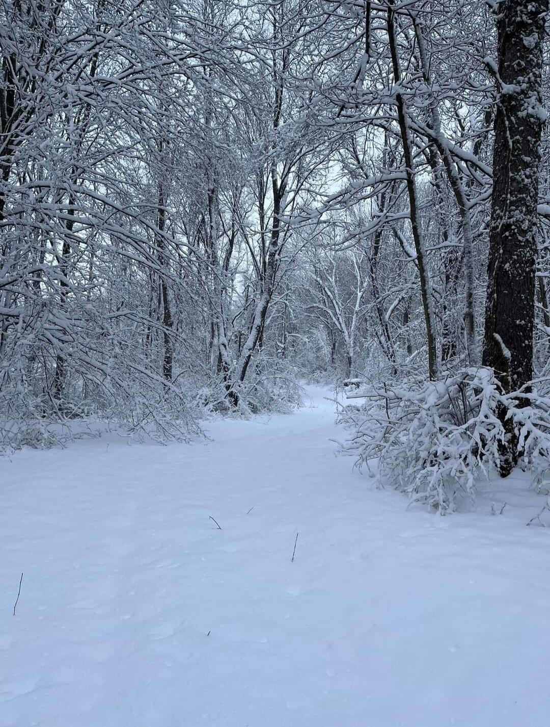 South Norris Road Delton, MI 49046 - Photo 13 of 19 Screenshot_20240114-194454_Facebook