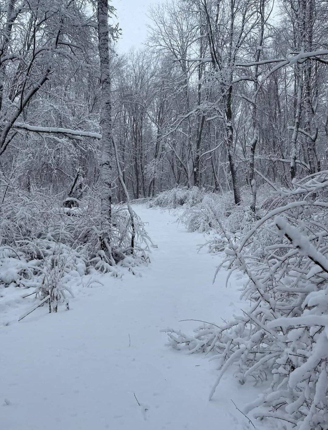 South Norris Road Delton, MI 49046 - Photo 14 of 19 Screenshot_20240114-194541_Facebook